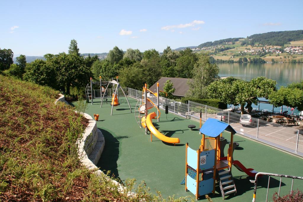 Hotel Seehotel Delphin Meisterschwanden
